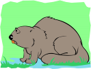 Beaver online puzzle