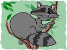 raccoon online jigsaw puzzle