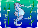 seahorse online jigsaw puzzle