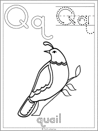 letter q quail coloring page