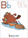 Alphabet Letter B Beaver Poster