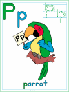 letter p parrot color poster