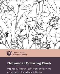 Free botanical · Flora · Flowers · Plants Coloring Books  for Preschool to Adults