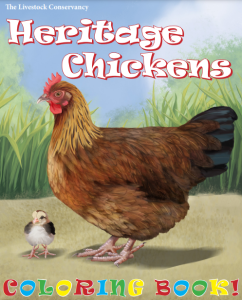 Heritage Chickens Coloring Book