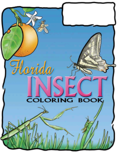 Florida Insects Coloring Book