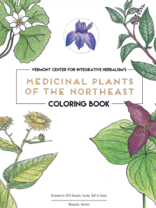 Medicinal Plants of the North East Coloring Book