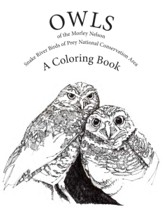 Owls: A Coloring Book