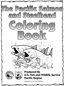 Pacific Salmon and Steelhead Coloring Book