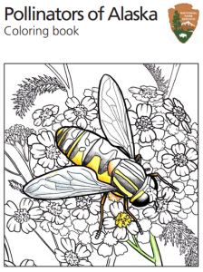 Pollinators of Alaska Coloring Book