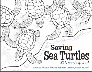 Saving Sea Turtles Coloring Book