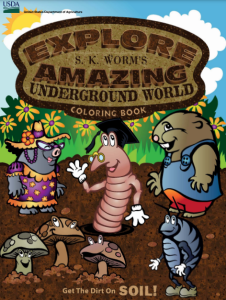 Explore the Amazing World of an Earthworm ' Annelid 