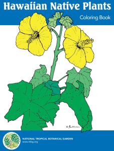 National Tropical Botanical Garnds Coloring Books