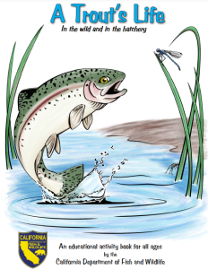 A Trout's Life Coloring Book