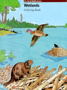 Wetlands Coloring Book