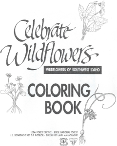 Five Wildflowers Coloring Books @ US Forest Service