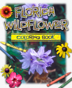 Florida Wildflowers Coloring Book