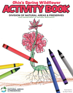 Wildflowers of Souther Idaho Coloring Book