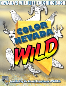 Nevada's Wildlife Coloring Book