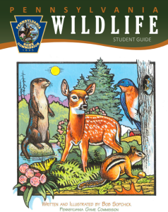 Pennsylvania Wildlife Coloring Book