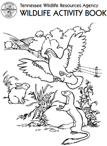 Free Animals Coloring Books for Preschool to Adults P. 3