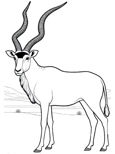 addax coloring page endangered animal