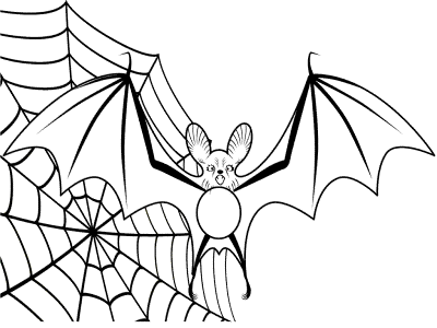 bat and spider web coloring page