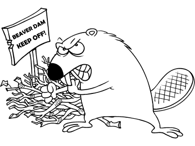 beaver protect the dam coloring page