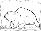 beaver coloring pages