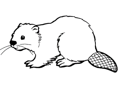 beaver coloring page