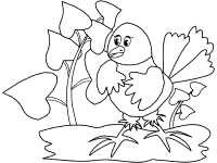 bird on a branch coloring page