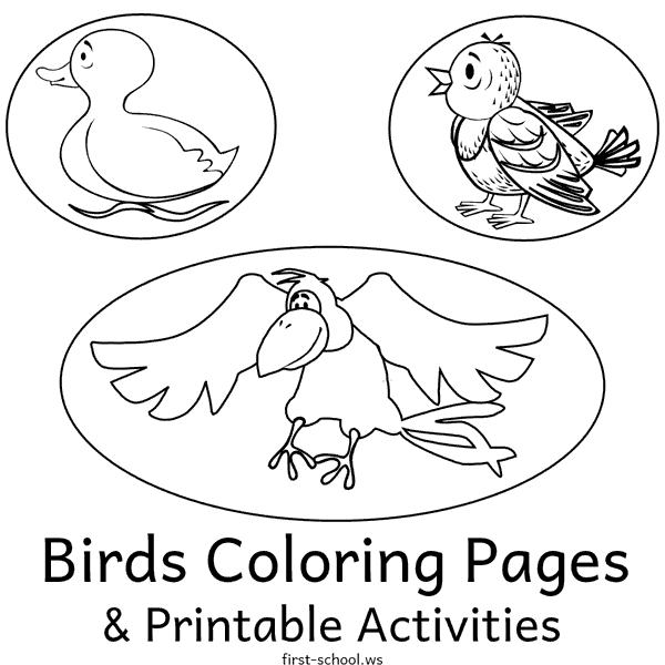 Birds Coloring Pages List