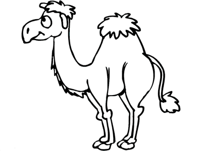 dromedary camel coloring page