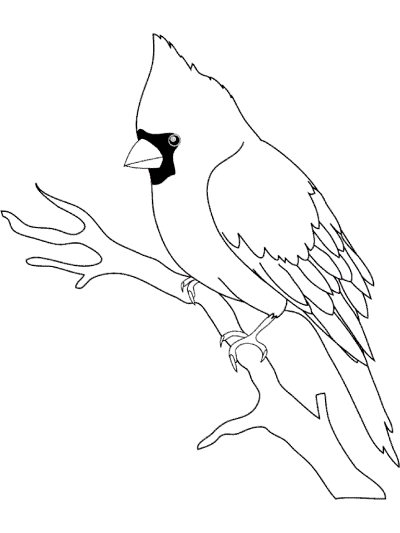 cardinal on a bare branch coloring page