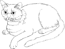 Cats Coloring Pages 4