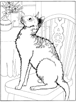 cat coloring page