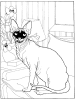 cat coloring page