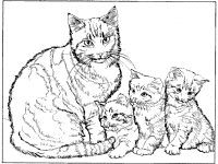 cat and kittens coloring page