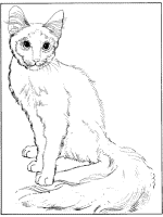 cat coloring page