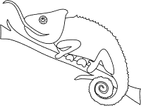 chameleon coloring page