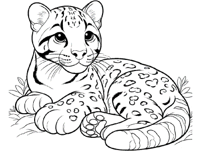 clouded leopard coloring page