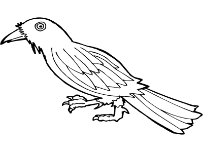 crow coloring page