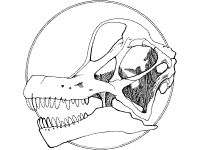 Brachiosaurus skull fossil dinosaur coloring page