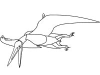 Pterodactylus dinosaur coloring page