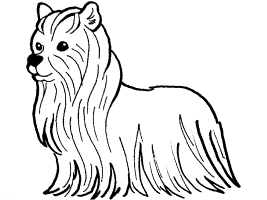 Dog Breeds Coloring Pages 4