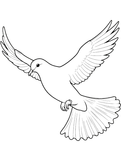 dove coloring page