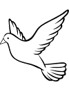 dove coloring page