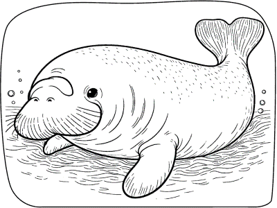 dugong coloring pages