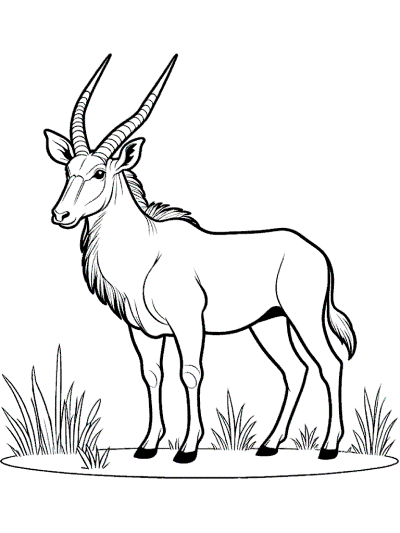 eland antelope coloring page