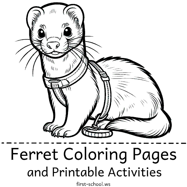 Ferret Coloring pages and Printable Activities