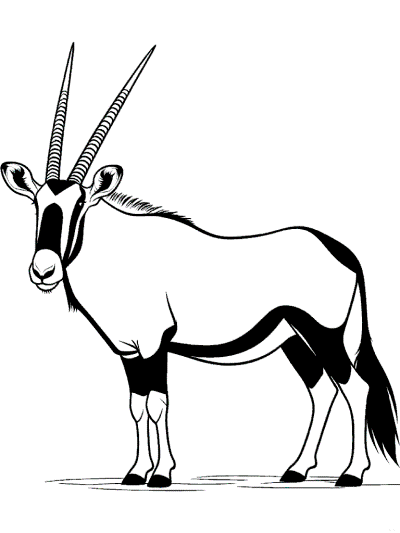 gemsbok coloring page endangered animal